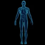 The Incredible Health Benefits of Glutathione