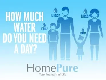 How Much Water Do You Need A Day?