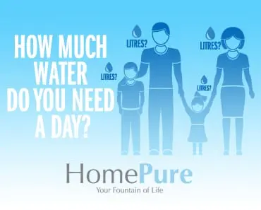 How Much Water Do You Need A Day?