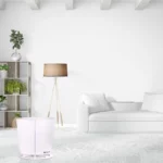 5 Signs That You Need An Air Purifier