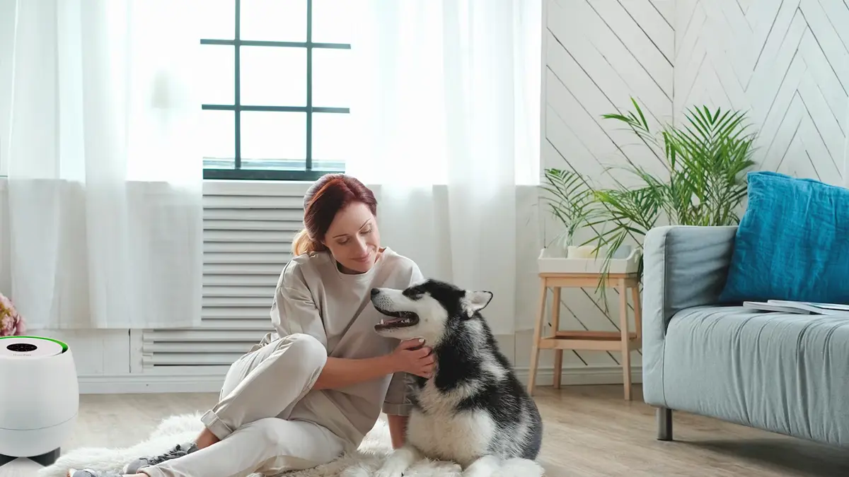 Woman with pet husky, HomePure Zayn