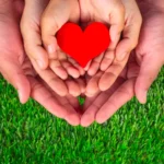 hands holding heart on a green background