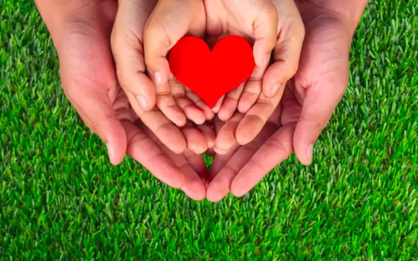 hands holding heart on a green background