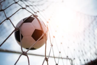 fifa world teachings