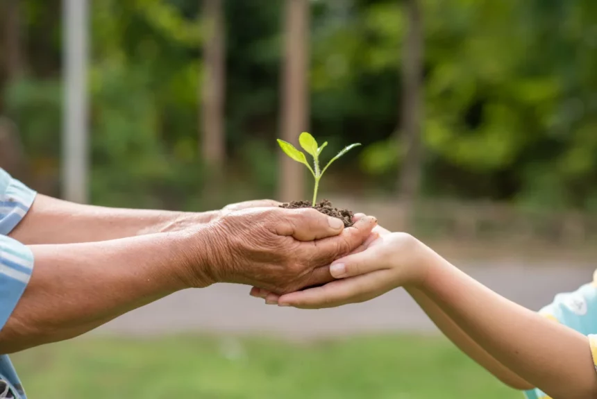 People Holding small plant growing green legacy