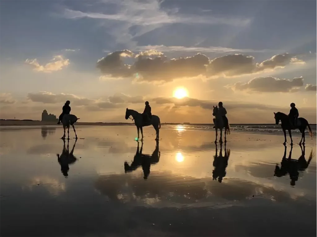 4 people on horses riding on shoreline of beach during sunset