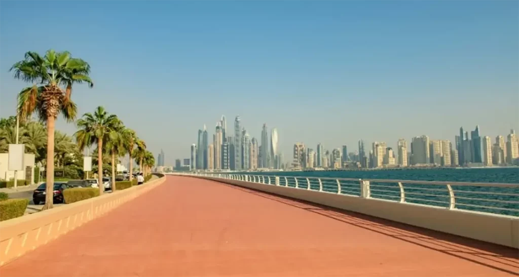 Long walk way with palm trees next to river