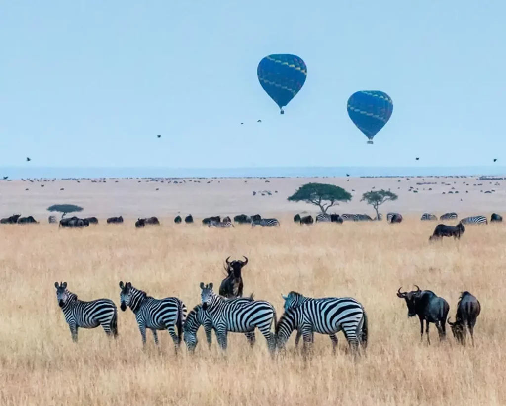 Top 6 Best Places In Kenya To Have The Sweetest Honeymoon Getaway 5 QBUZZ