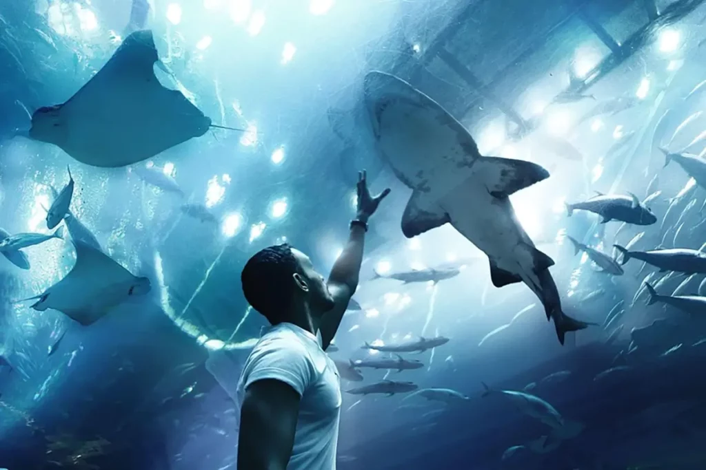 Top 6 Family-Friendly Vacation Places In Dubai 3 QBUZZ