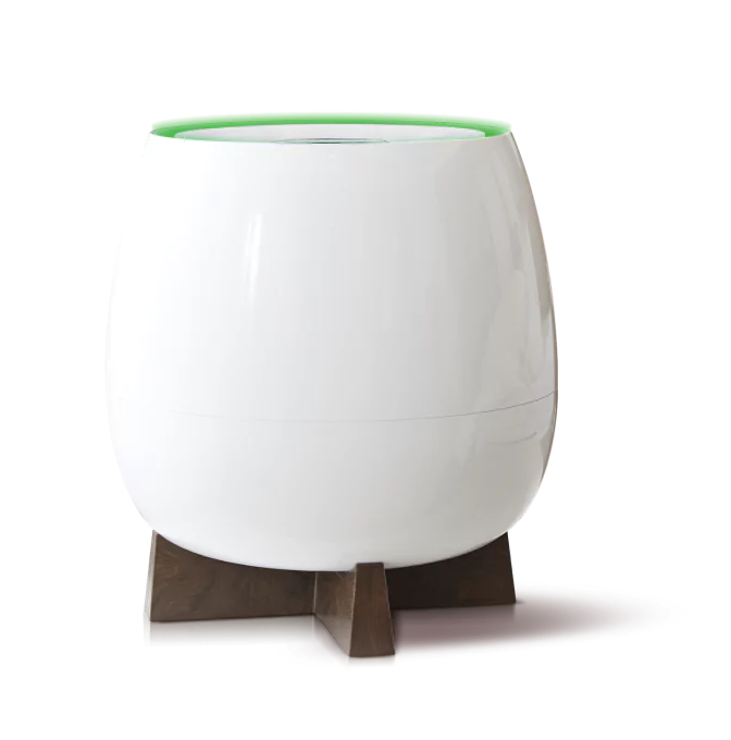 The Ultimate Qnet Gift Guide 3 QBUZZ
