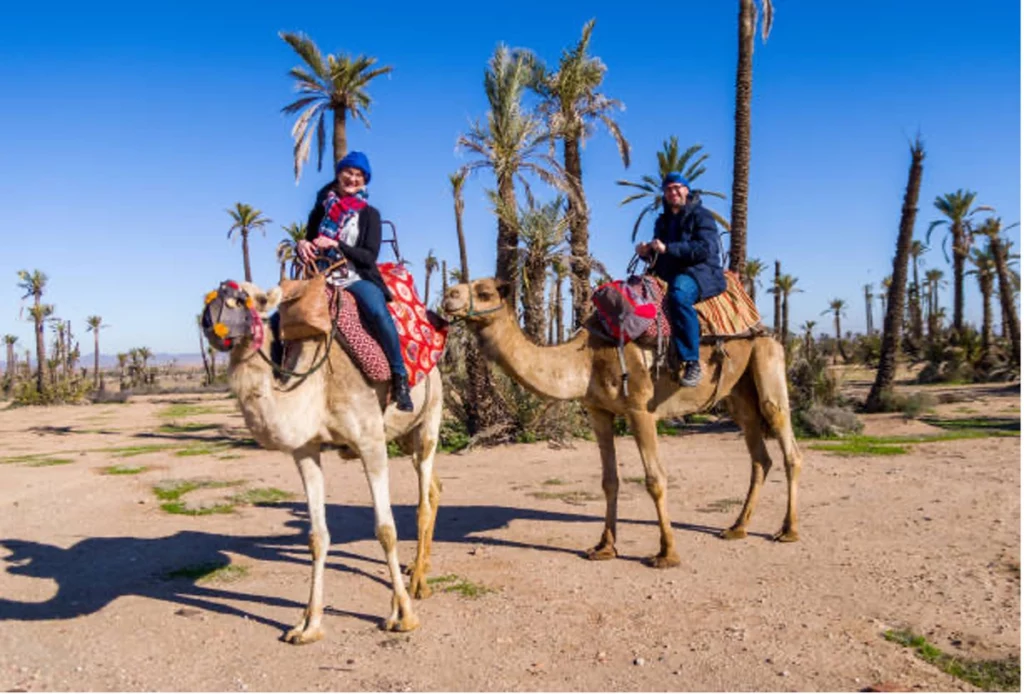 Marrakesh Travel Guide: Why Marrakesh Is A Highly Desirable Destination For Holidays 9 QBUZZ