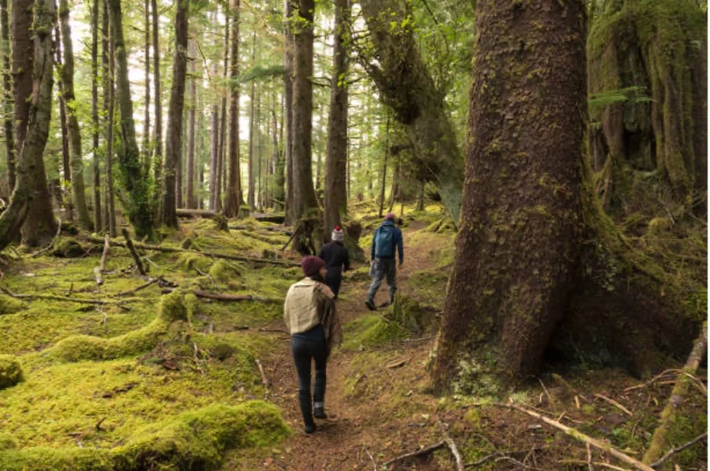 Off-The-Beaten-Path Destinations You Need To Explore Right Away 2 QBUZZ