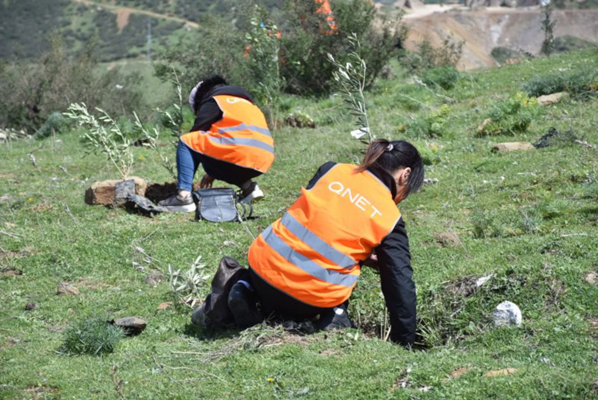 QNET Reforesting the Earth