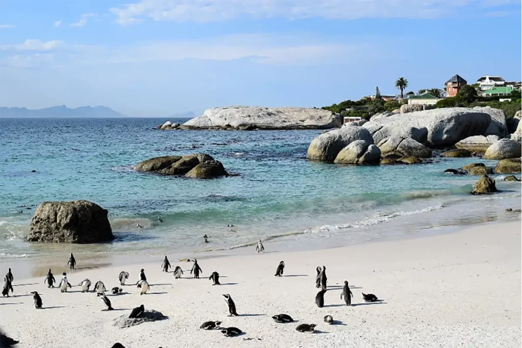 Unwind With These 6 Finest Beach Destinations In Sub-Saharan Africa 7 QBUZZ